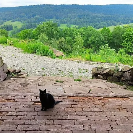 Odnowica U Pawla Nowica