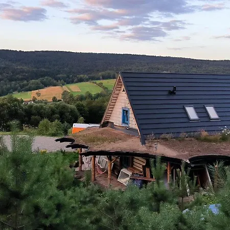 Daire Odnowica U Pawla Nowica