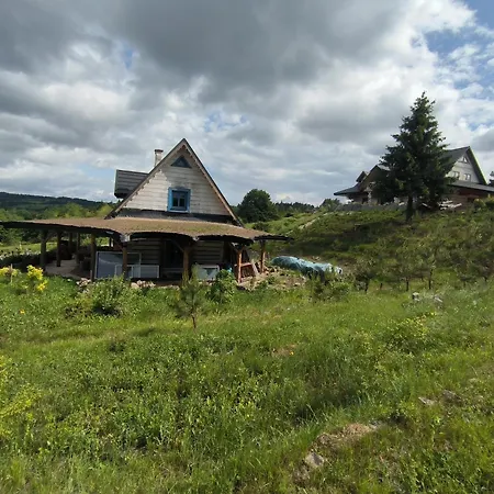 Daire Odnowica U Pawla *